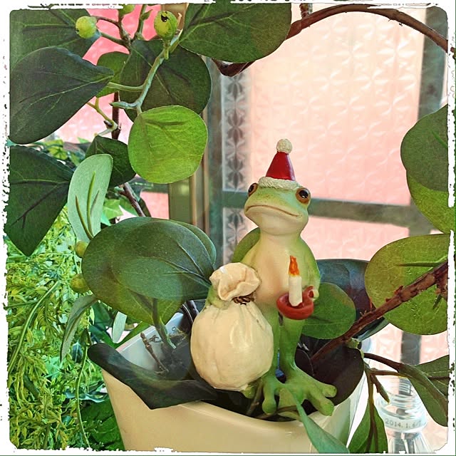 magさんの実例写真