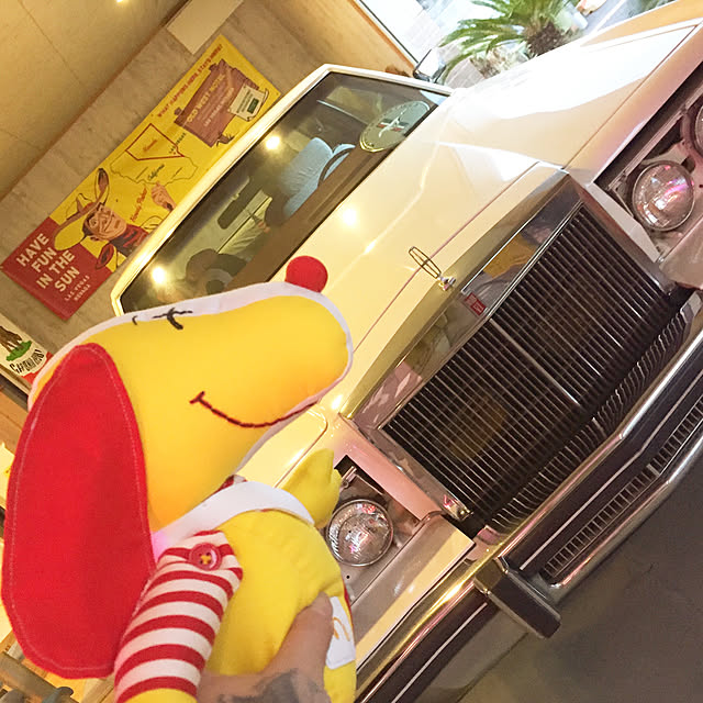 vanillaさんの実例写真