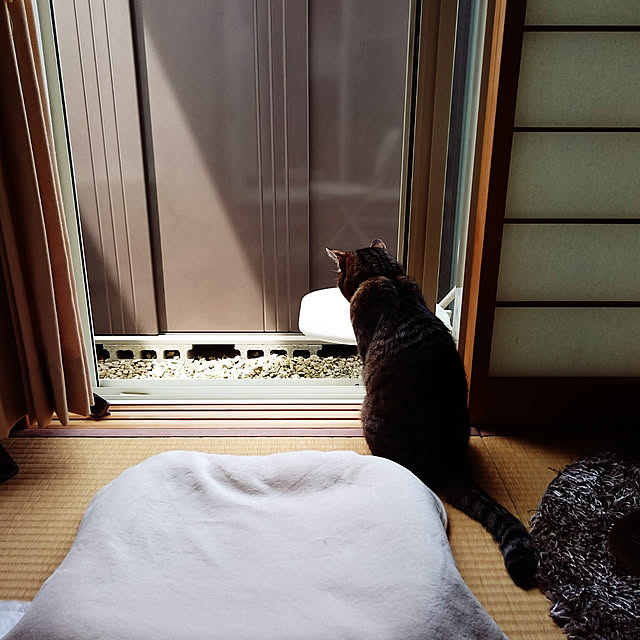 lilyさんの実例写真
