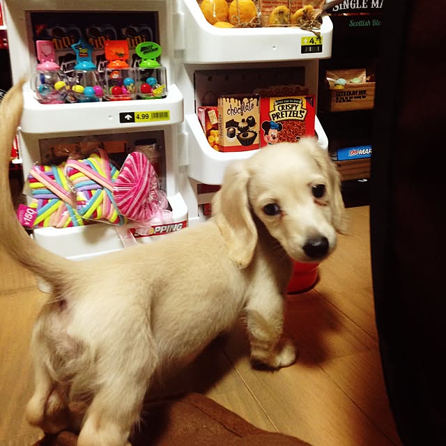 mayoさんの実例写真