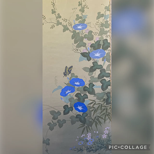 buchiさんの部屋