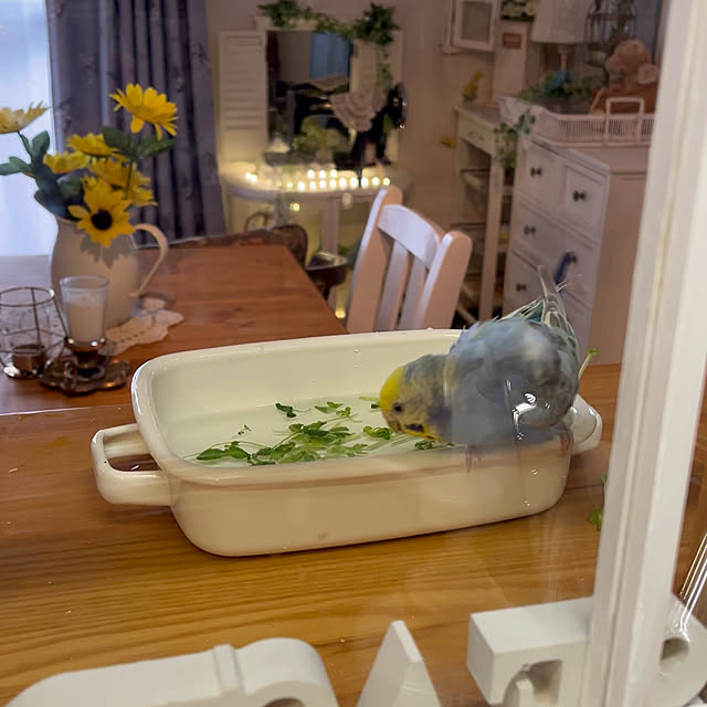 Atsukoさんの部屋