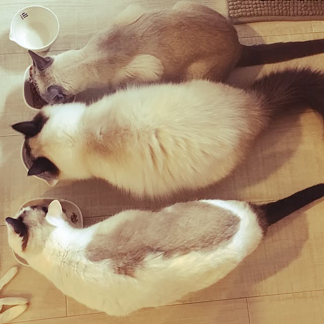 niko-25さんの実例写真