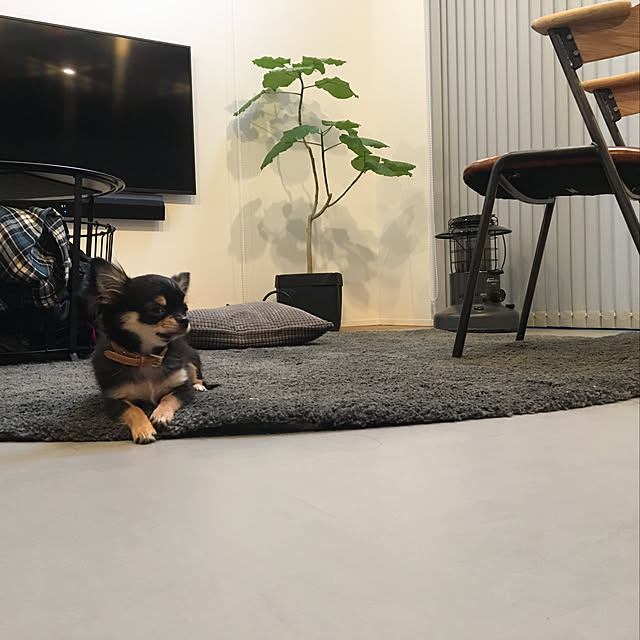 Noboさんの実例写真