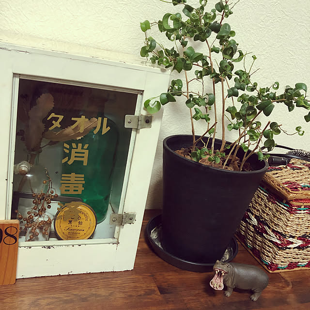 yukさんの実例写真