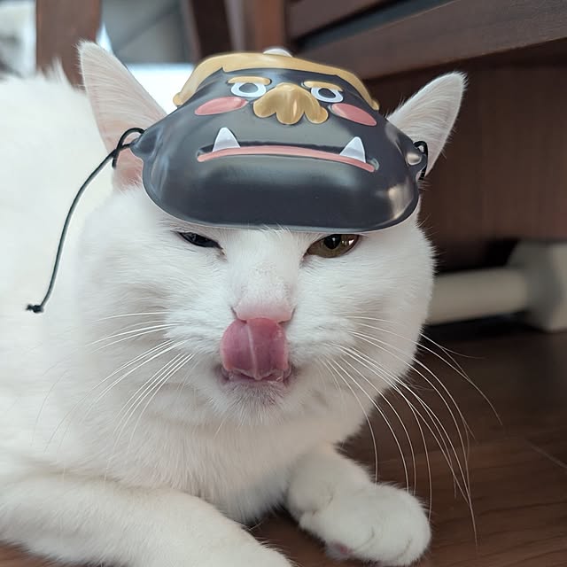 necoさんの部屋