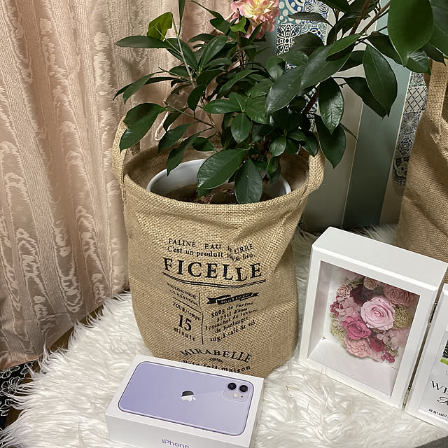 alchoさんの実例写真