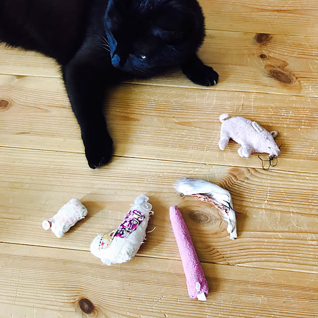 neko-2.2.2runmuさんの実例写真