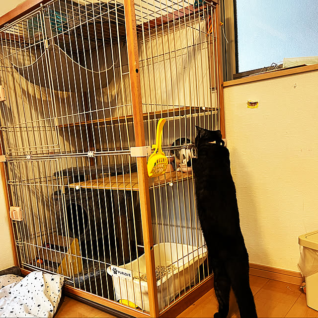 Kanamiさんの実例写真