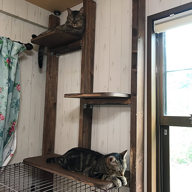 pepeさんの実例写真