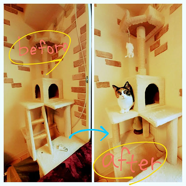 chisaviさんの実例写真