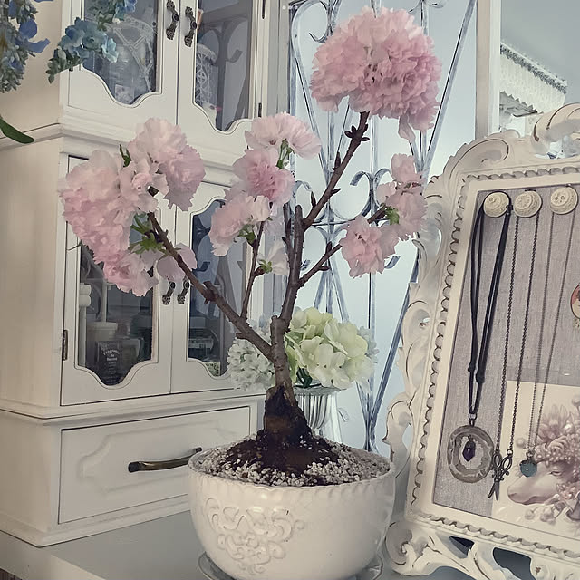 souyaさんの実例写真