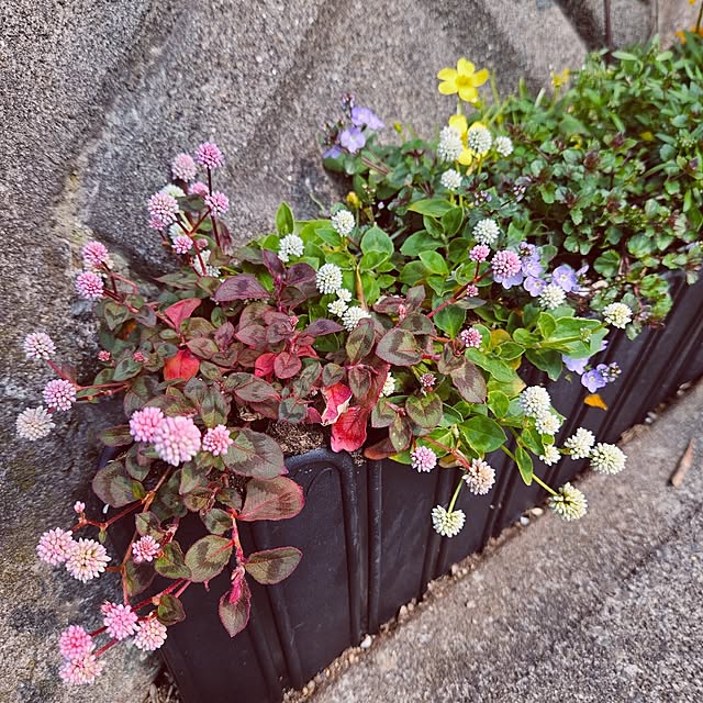 mocomocoさんの部屋