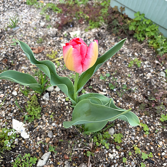 ritsukoさんの部屋