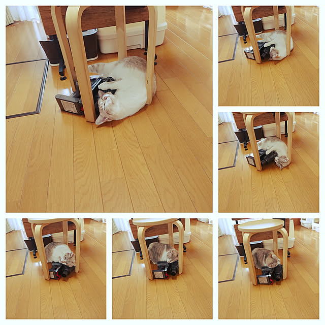 nachiさんの実例写真