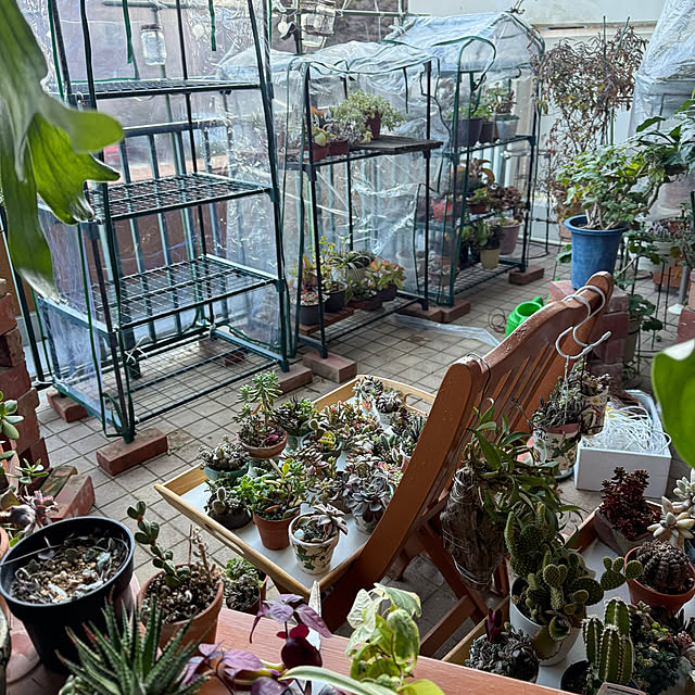 Aqettyさんの実例写真