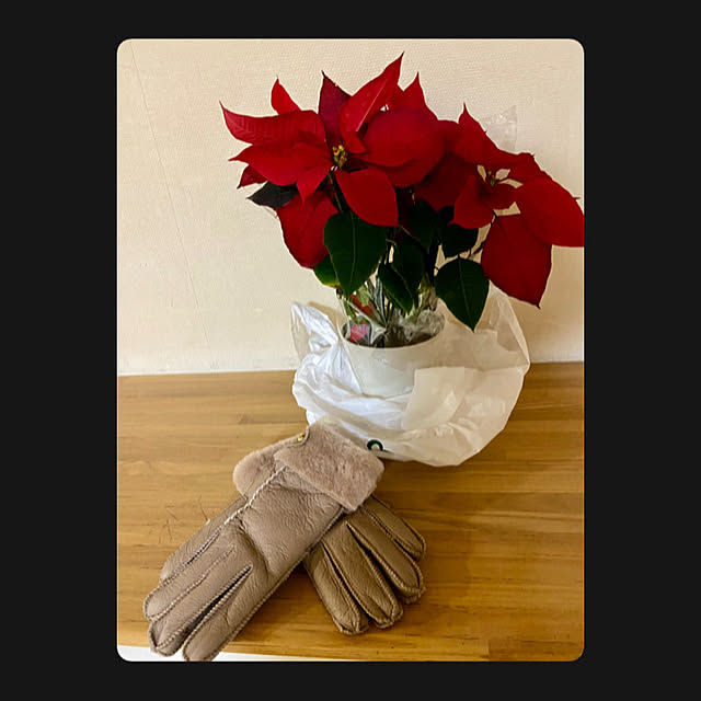 YuuKoさんの実例写真