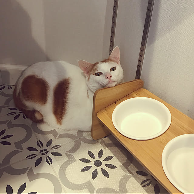 makiさんの実例写真
