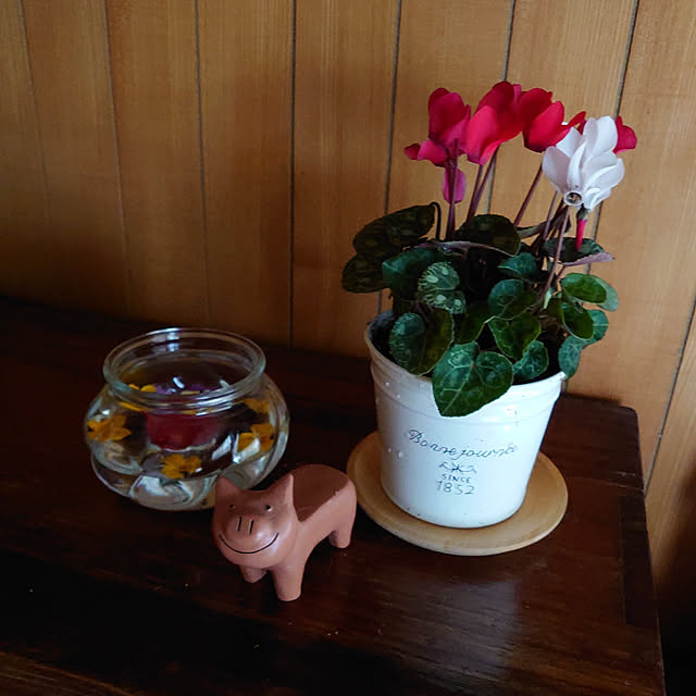 fukuさんの実例写真