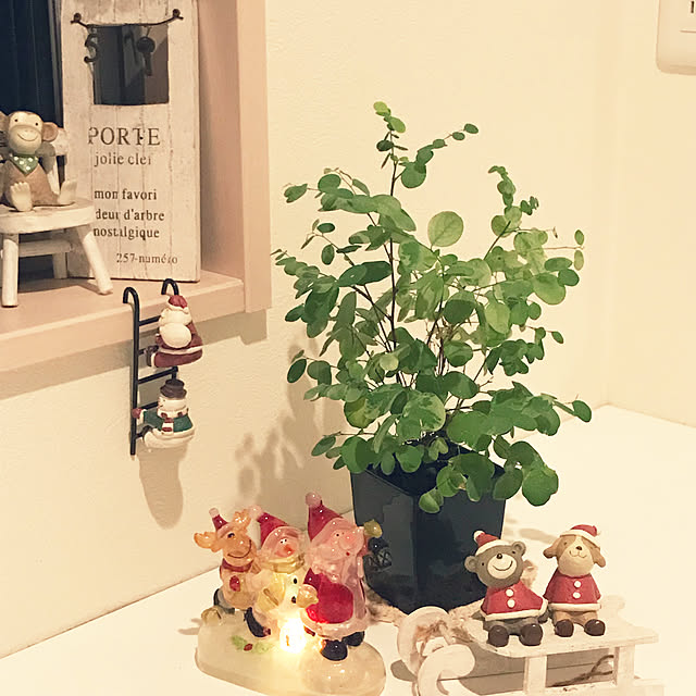 mayさんの実例写真