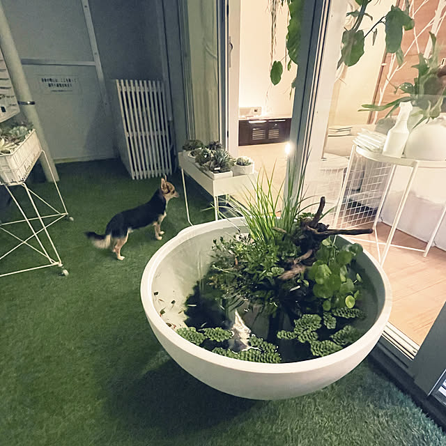 nanakoさんの実例写真