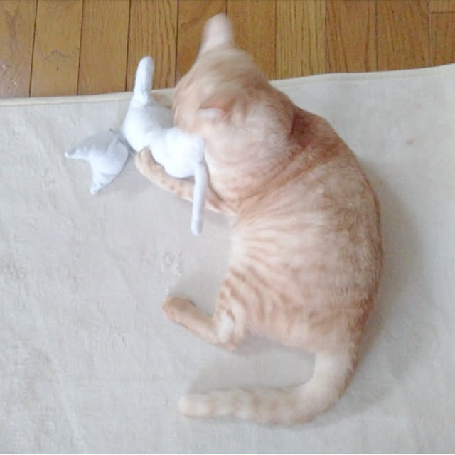 heart.emiemi57.whiteさんの実例写真