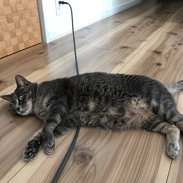 mokaさんの実例写真