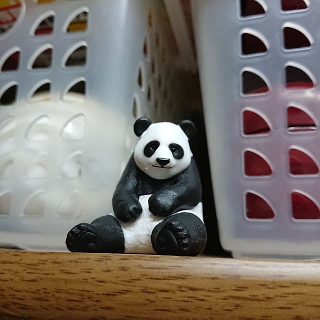 yoco-pandaさんの実例写真
