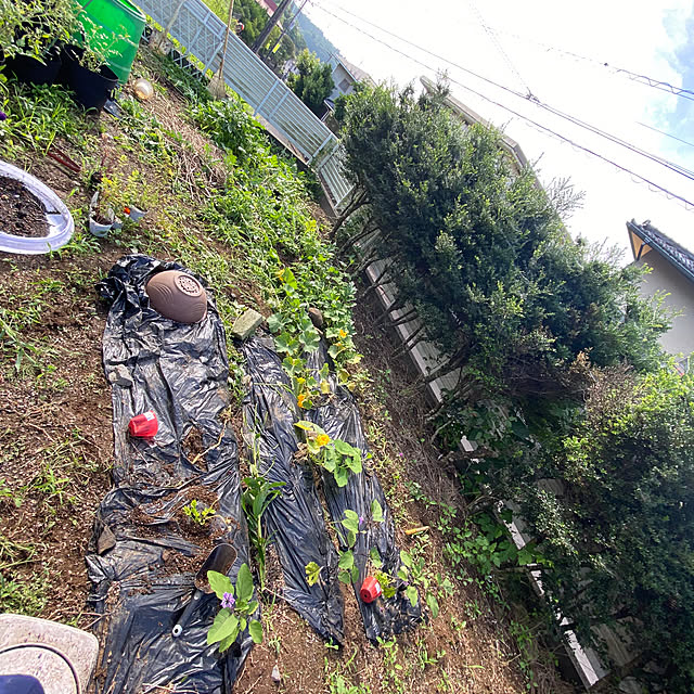 harukototoさんの部屋