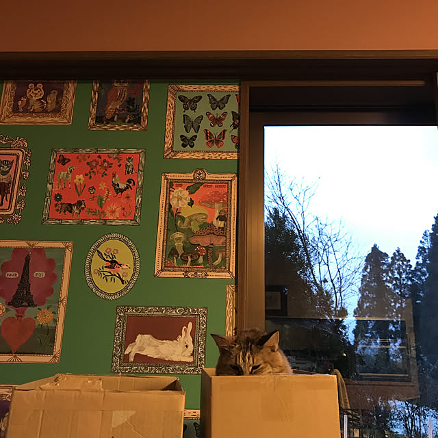 miseiさんの実例写真