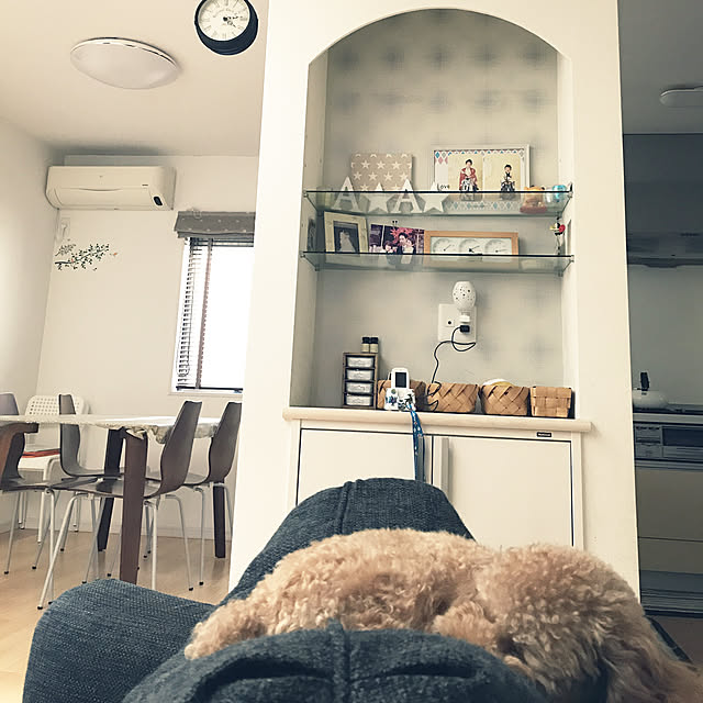 akiasaさんの実例写真