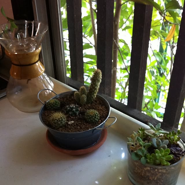 rekoさんの実例写真