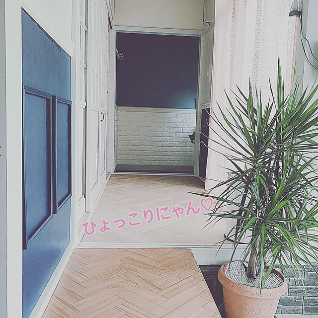 Akie.otsukaさんの実例写真