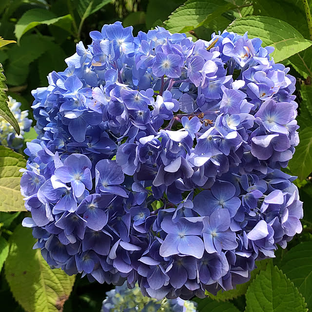 kanayaさんの実例写真