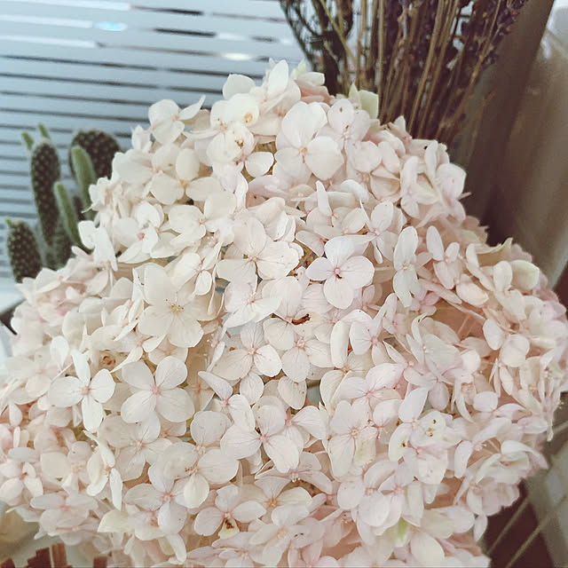 maymamさんの実例写真
