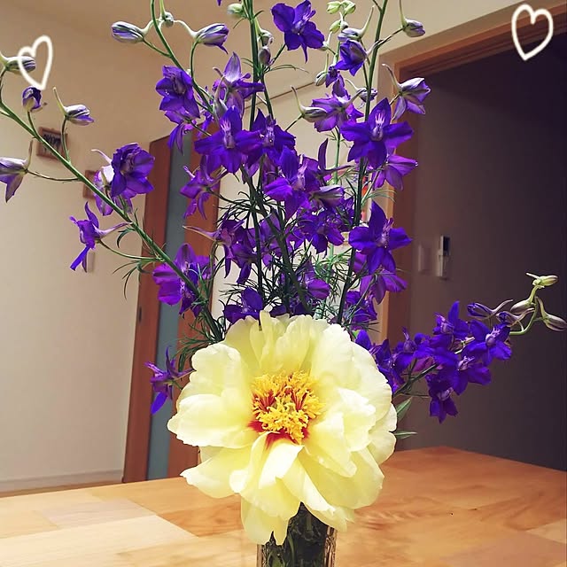 shiori.3173さんの実例写真