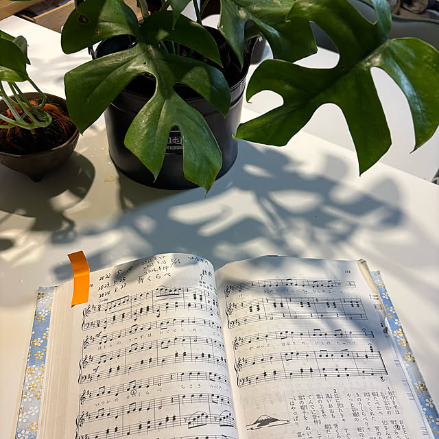 syutmmさんの部屋