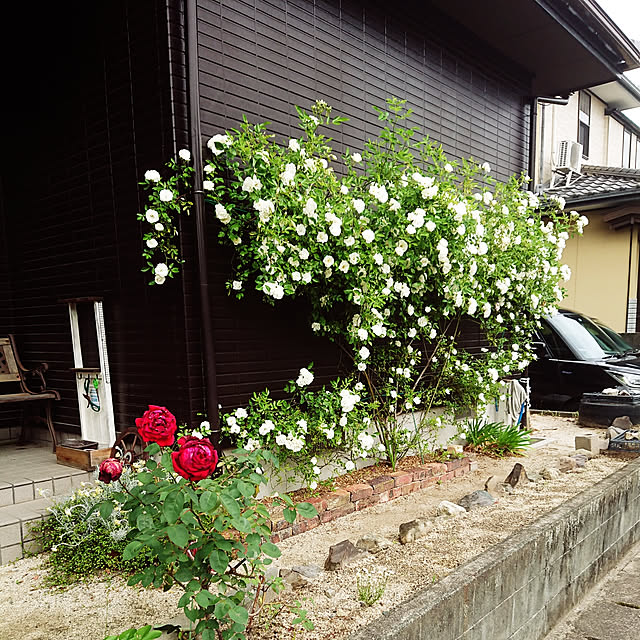 tagosakuさんの実例写真