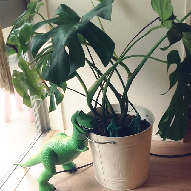 kochimiさんの実例写真