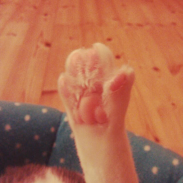 mukuさんの実例写真