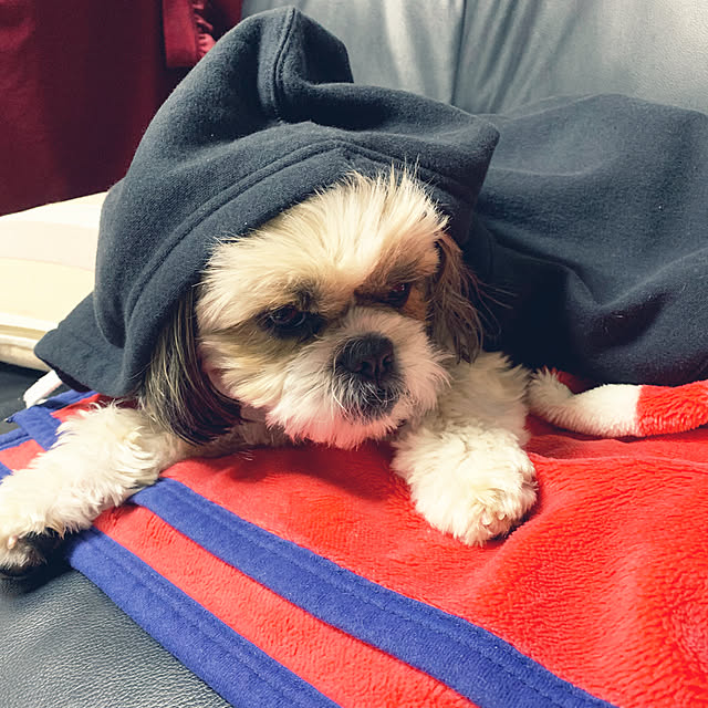 Yuさんの実例写真