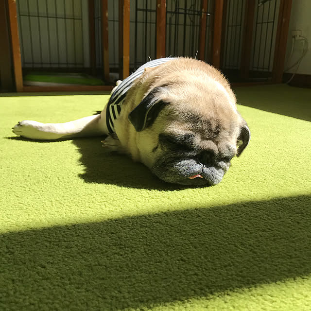 kellyさんの実例写真