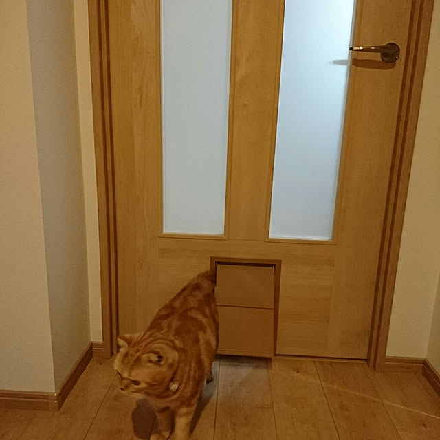 naoさんの実例写真