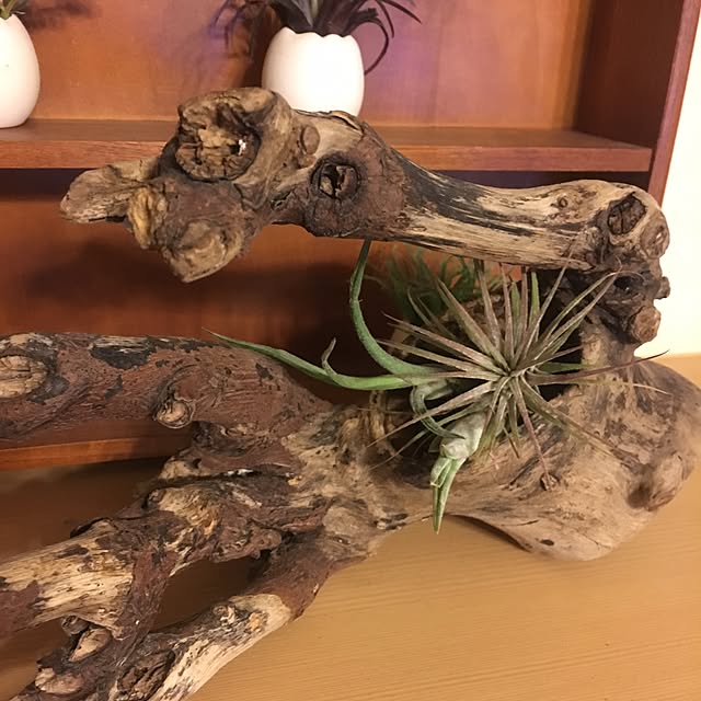 yumieさんの実例写真