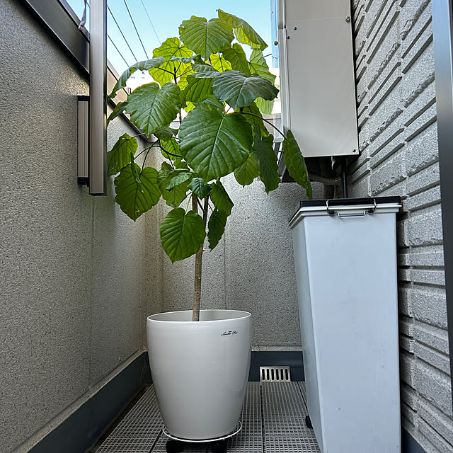 mikomaruさんの部屋