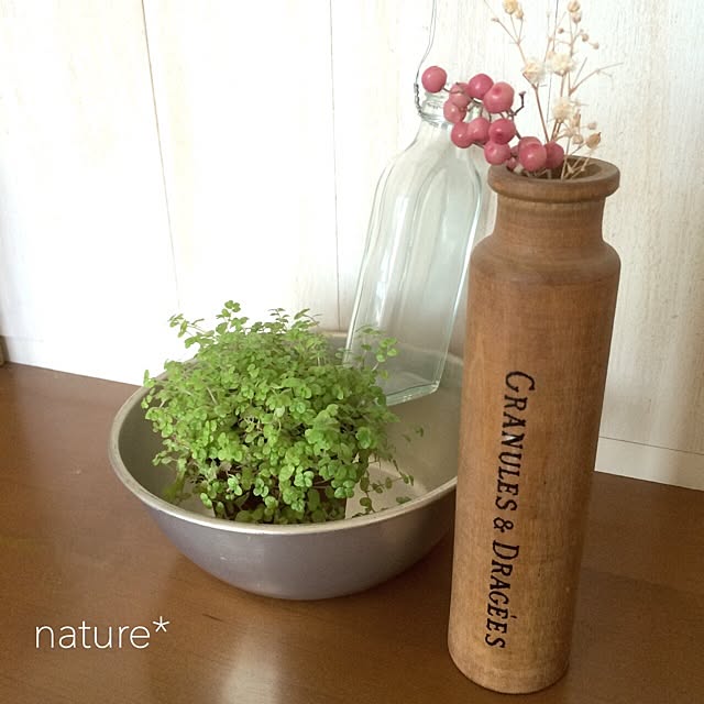 natureさんの実例写真
