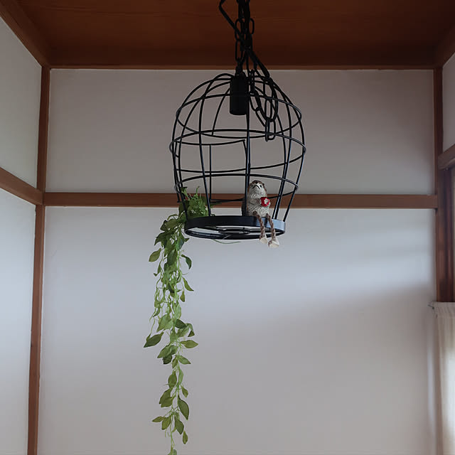 renrenさんの実例写真