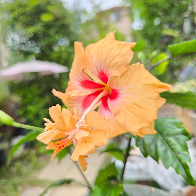 min_nimさんの実例写真