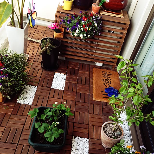 IKEA/DIY/観葉植物/多肉植物/玄関/入り口のインテリア実例 - 2015-04-12 17:26:54