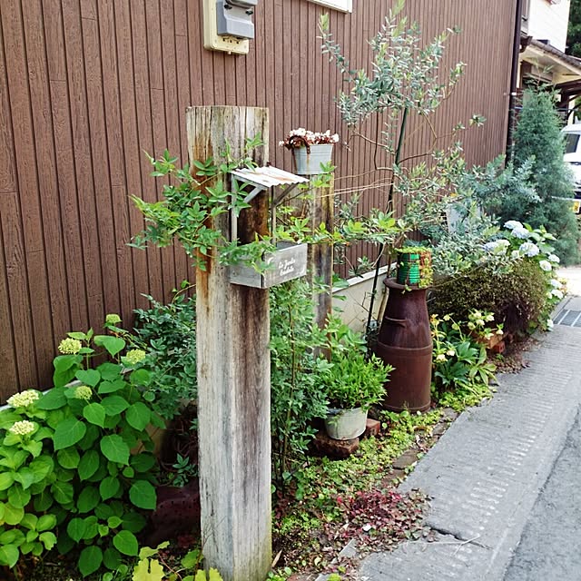 Maikoさんの実例写真